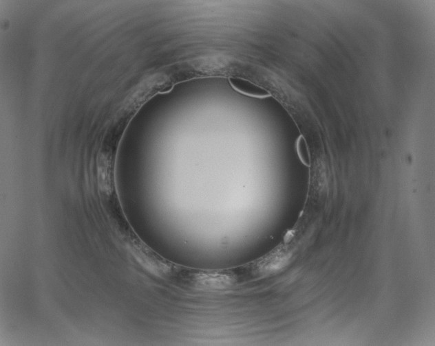 X0000066100234200603101149