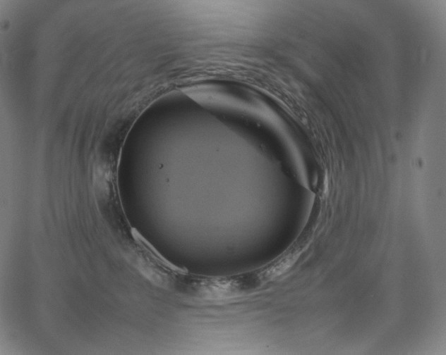 X0000066100235200603101149