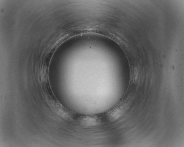 X0000066100236200603101149