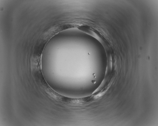 X0000066100237200603101149