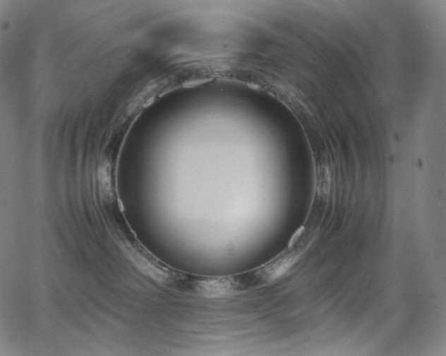 X0000066100238200603101149