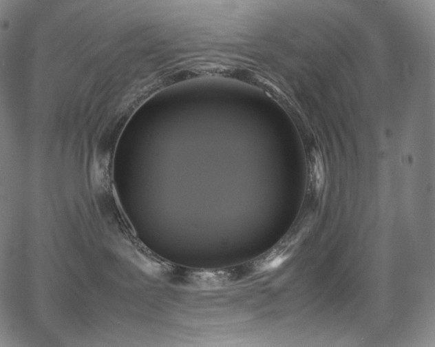 X0000066100239200603101149