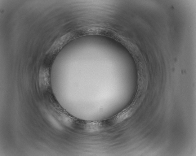 X0000066100240200603101149