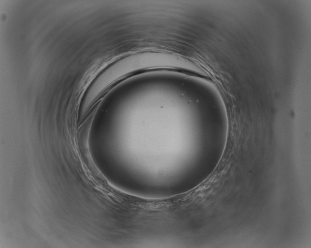 X0000066100241200603101148