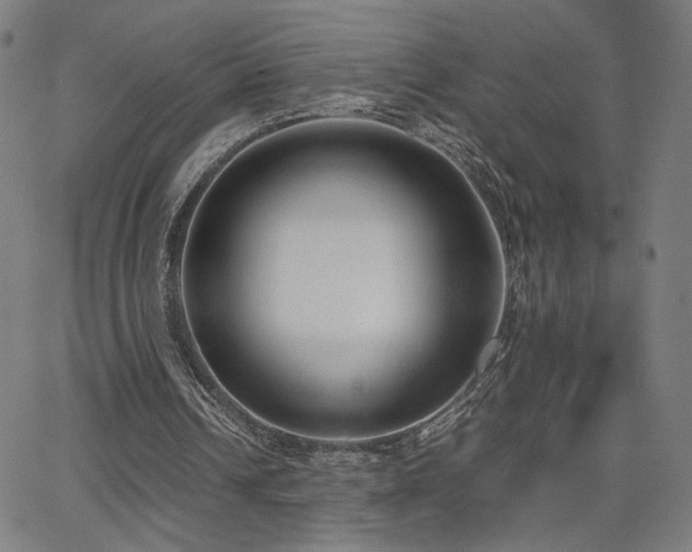 X0000066100242200603101148