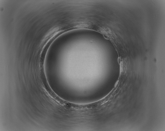 X0000066100243200603101148