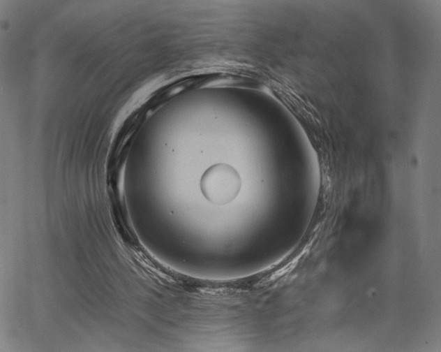 X0000066100244200603101148