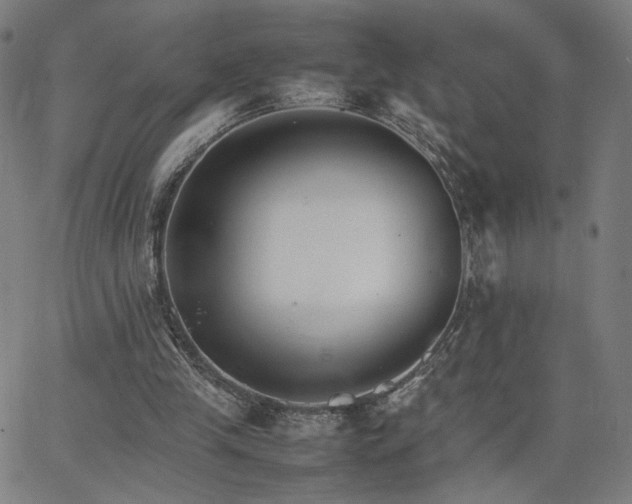 X0000066100245200603101148