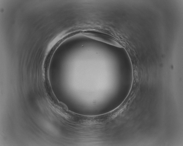 X0000066100246200603101148