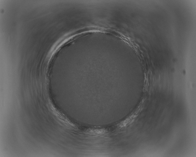 X0000066100247200603101148