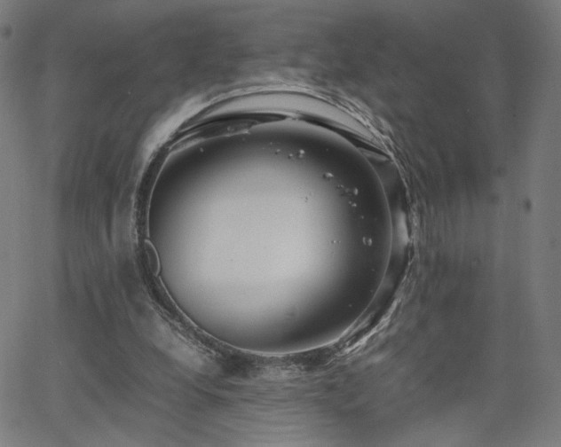 X0000066100248200603101148