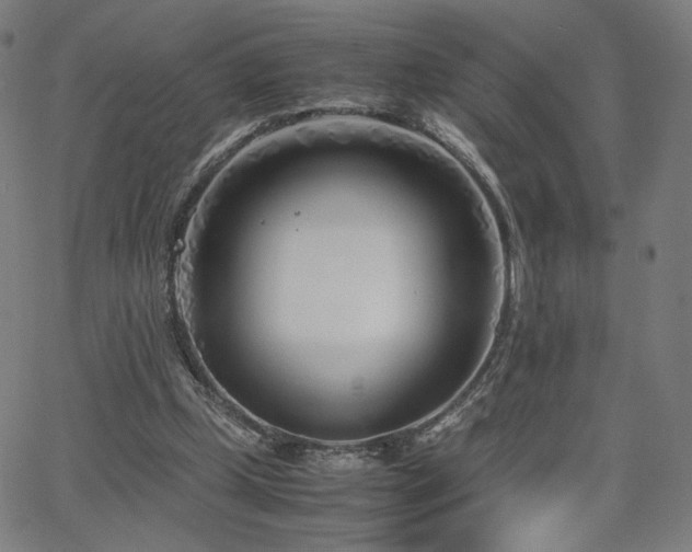 X0000066100249200603101148