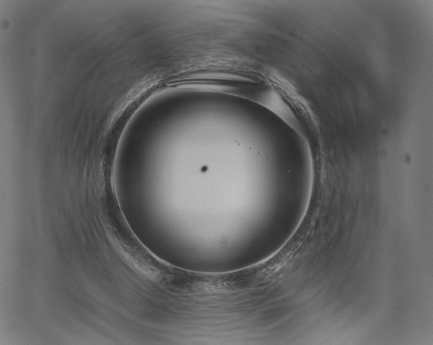 X0000066100250200603101148