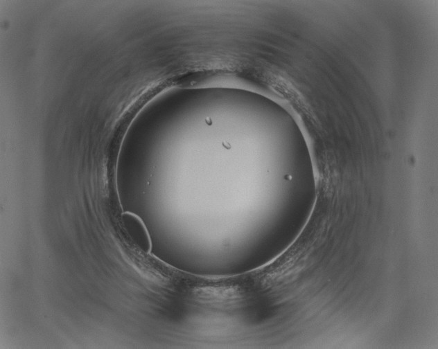 X0000066100251200603101148