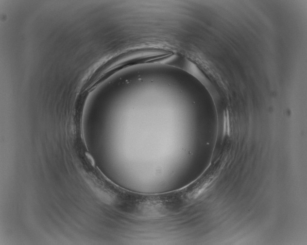 X0000066100252200603101148