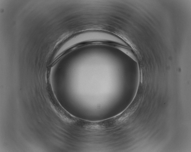 X0000066100253200603101148