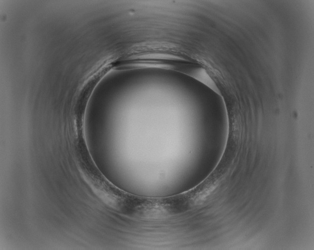 X0000066100254200603101148