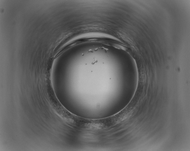 X0000066100255200603101148