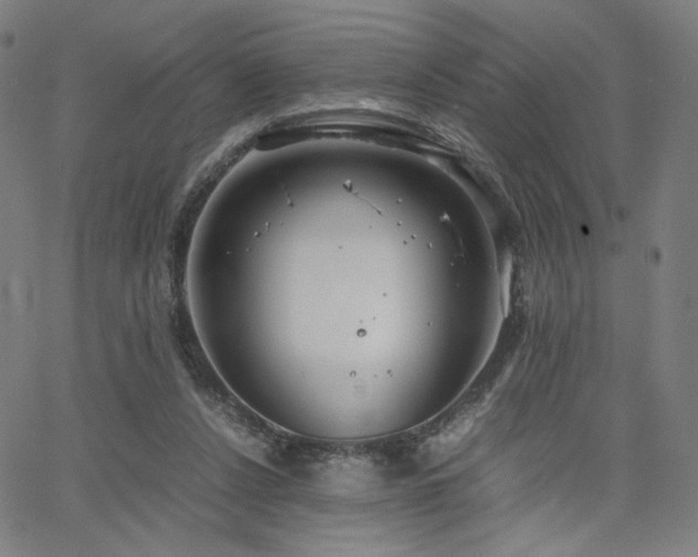 X0000066100256200603101148