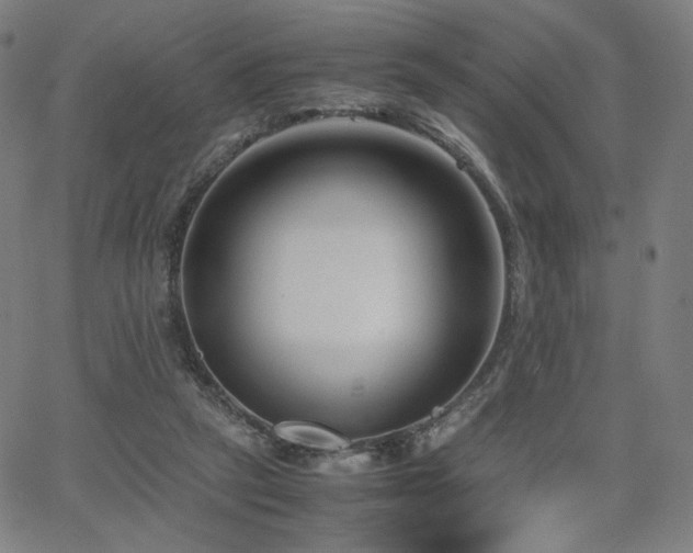 X0000066100257200603101148