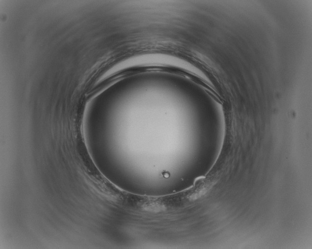 X0000066100258200603101148