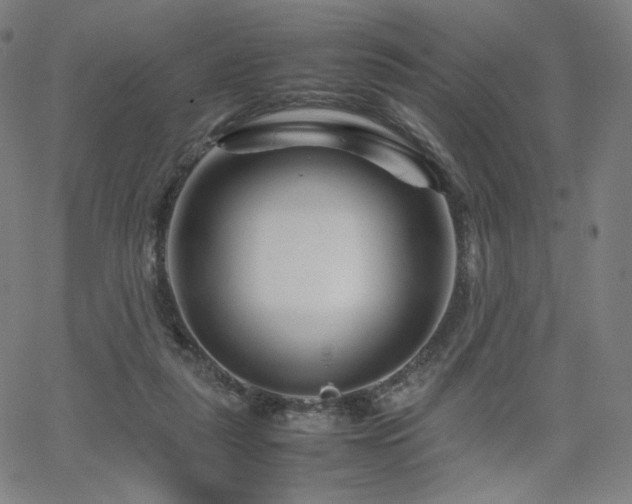 X0000066100259200603101148