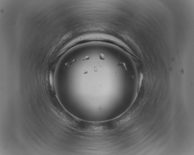 X0000066100260200603101148