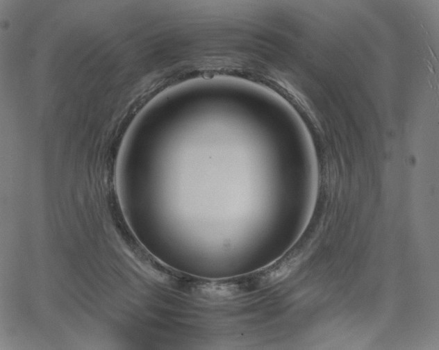 X0000066100261200603101148