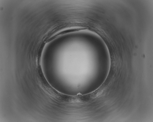 X0000066100262200603101148