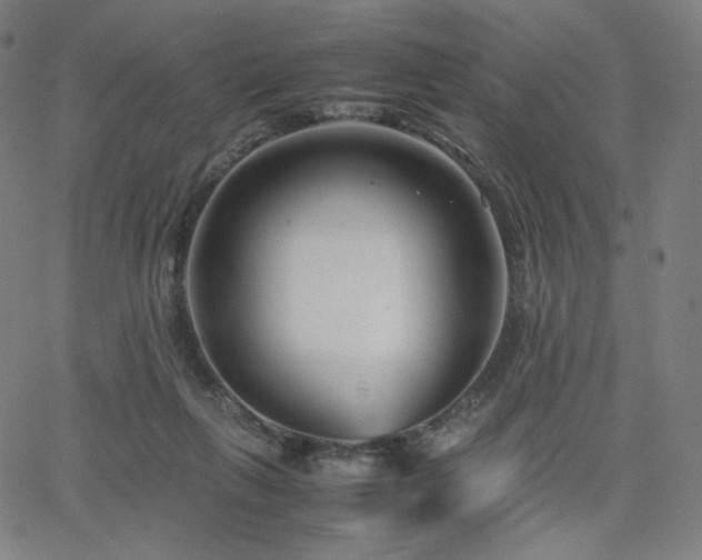 X0000066100263200603101148