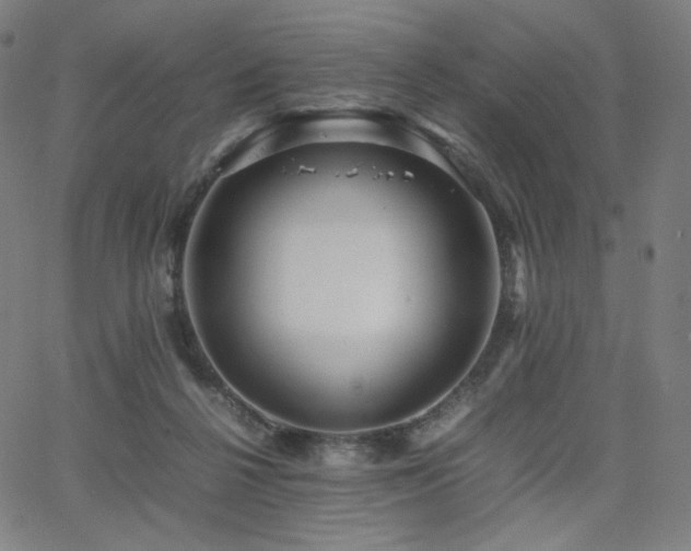 X0000066100264200603101148