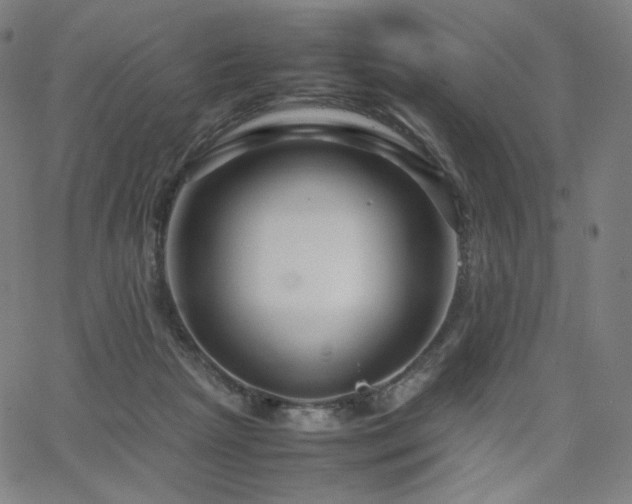 X0000066100265200603101148