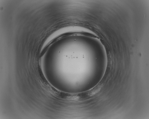 X0000066100266200603101148