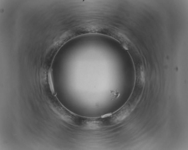 X0000066100268200603101148