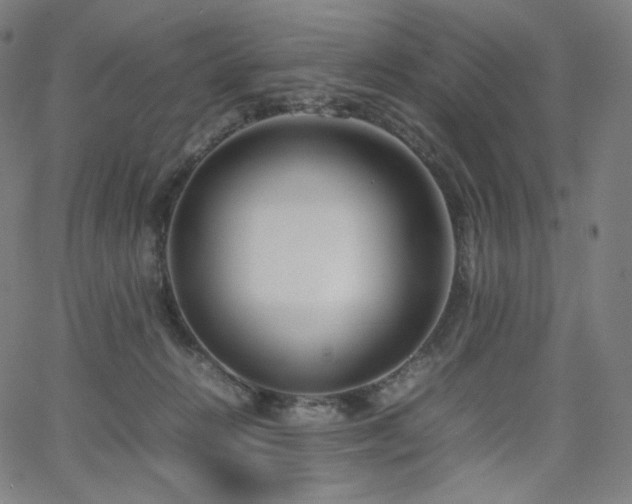 X0000066100270200603101148