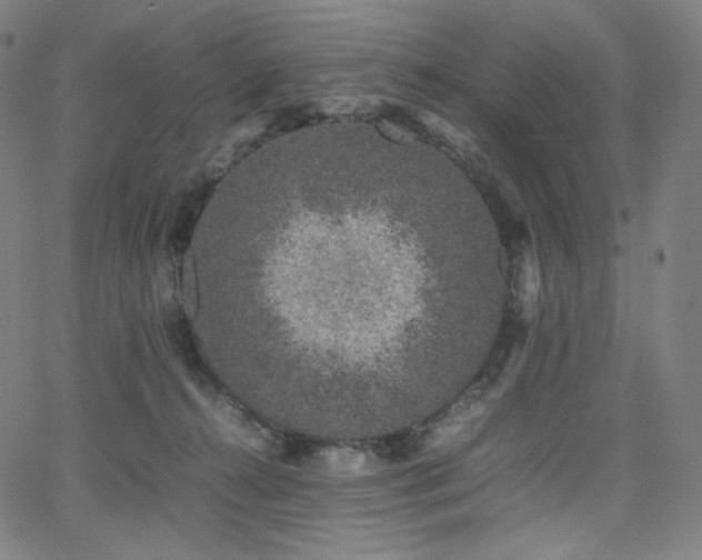 X0000066100272200603101148