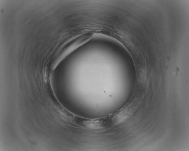 X0000066100273200603101148