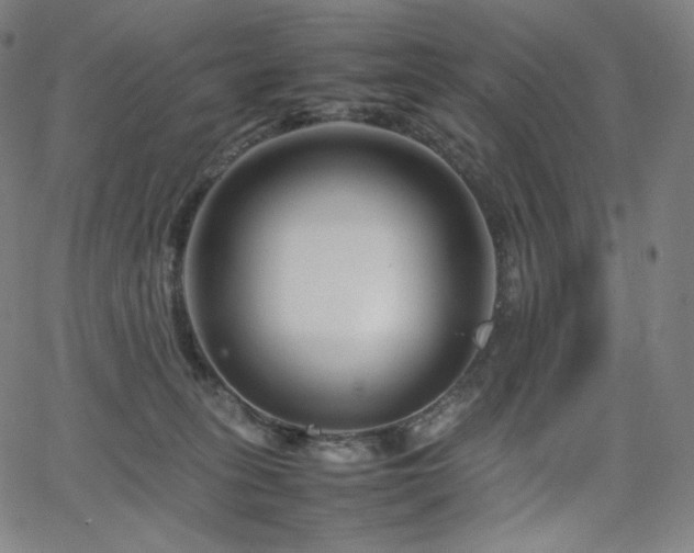 X0000066100275200603101149