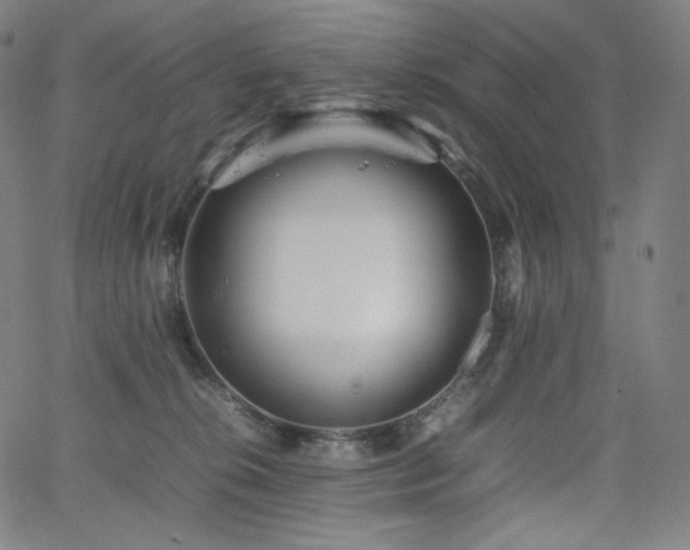 X0000066100276200603101149