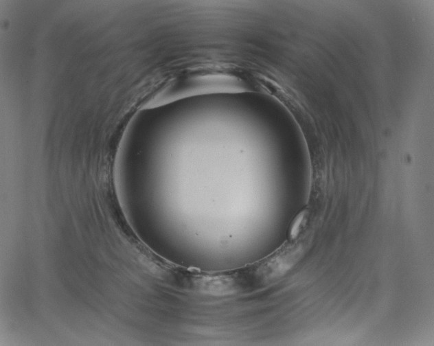 X0000066100277200603101149