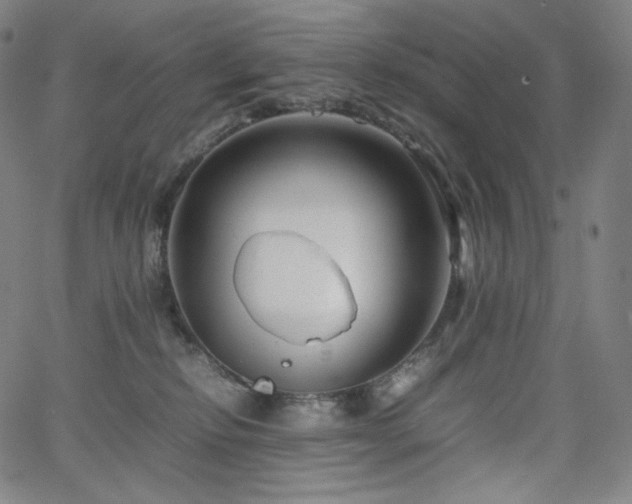 X0000066100278200603101149