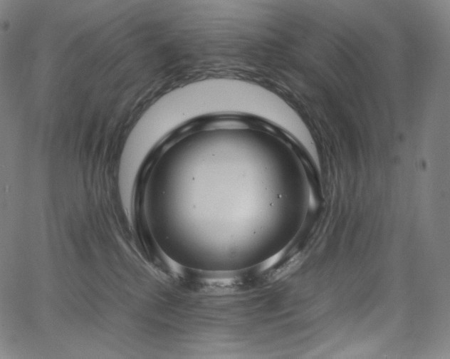 X0000066100280200603101149