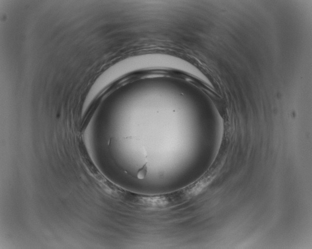 X0000066100281200603101149