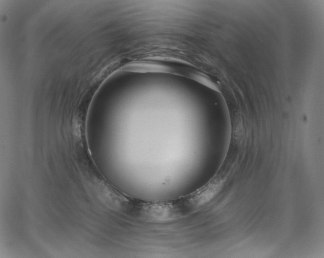 X0000066100282200603101149