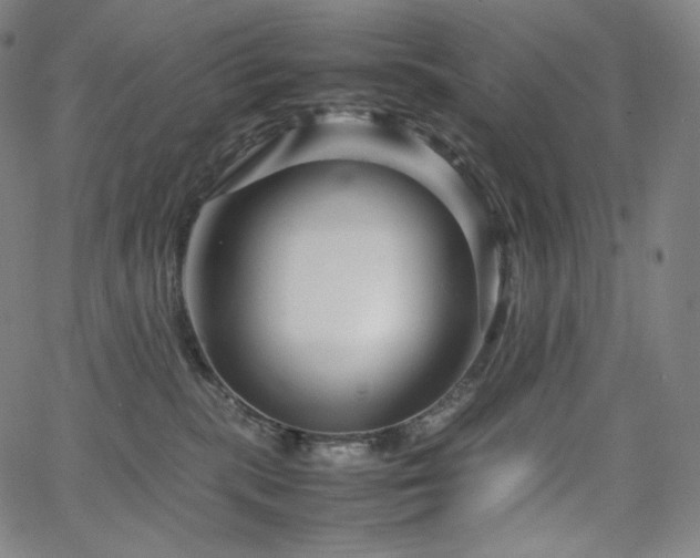 X0000066100283200603101149