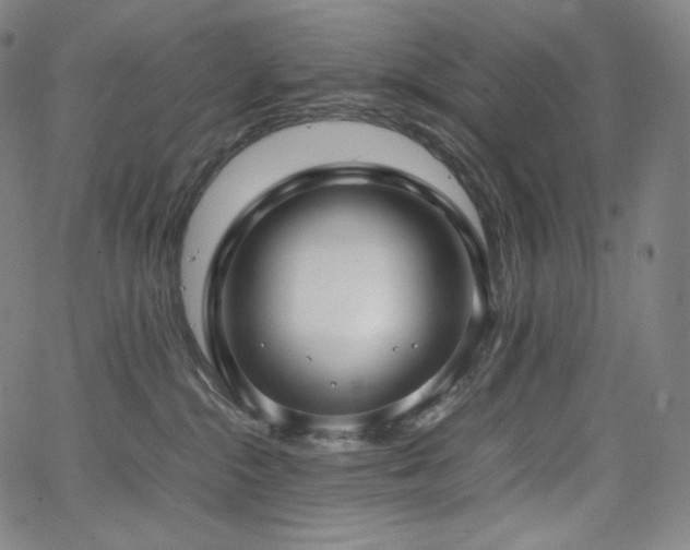 X0000066100284200603101149