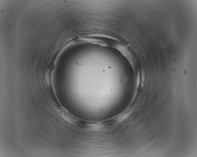 X0000066100286200603101149