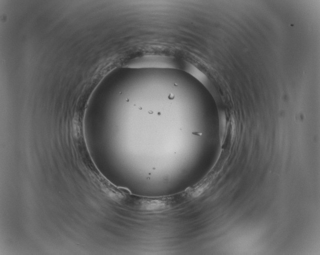 X0000066100287200603101149