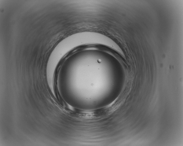 X0000066100288200603101149