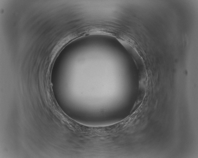 X0000066100289200603101148